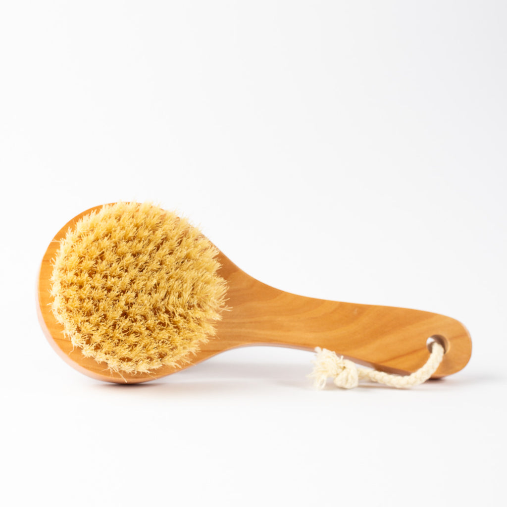 A wooden body brush with natural tan bristles and a light wood handle, shown on a plain white background.
