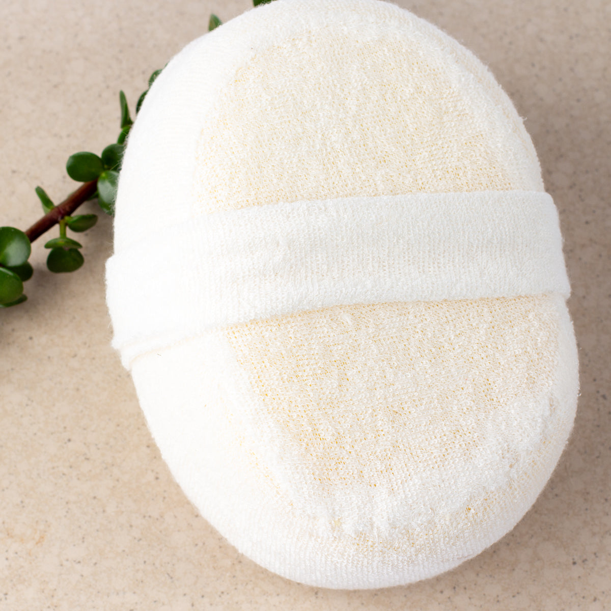 ECONIQUE Natural Loofah Body Sponge reverse side showing soft white fabric encasing and hand strap, resting on a stone surface alongside a small succulent branch
