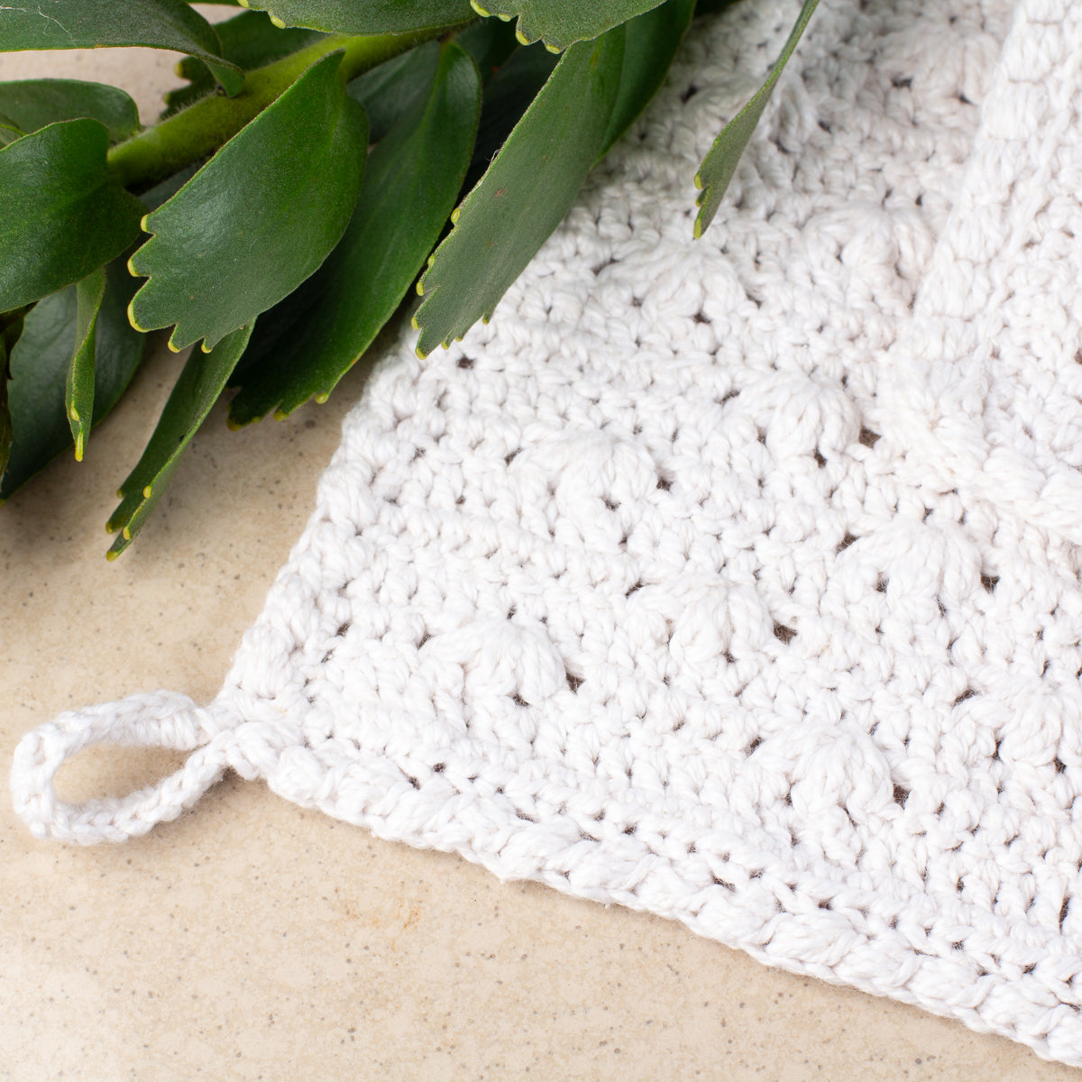 Corner detail of ECONIQUE Papyrus eco-friendly natural cotton washcloth with hanging loop on stone surface beside fresh protea leaves